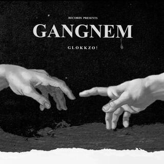 gangnem!