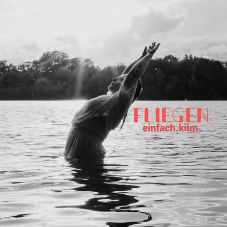 Fliegen | Boomplay Music