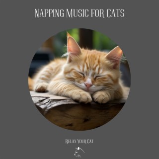 Napping Music for Cats