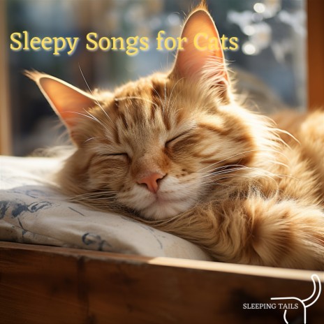 Soft Cushion ft. Cats Music Zone & Relaxation | Boomplay Music