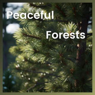 Peaceful Forests