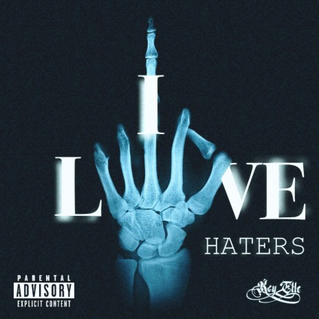 I LOVE HATERS | Boomplay Music