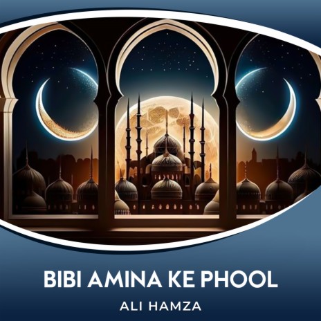 Bibi Amina Ke Phool | Boomplay Music