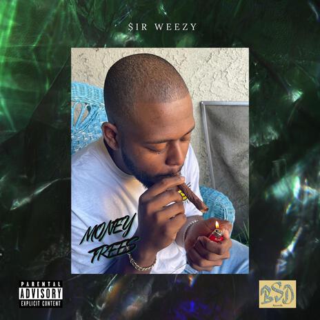 DAM WEEZY | Boomplay Music