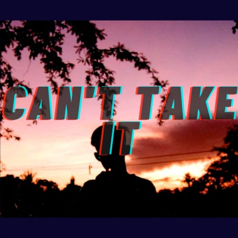 Can't Take It | Boomplay Music