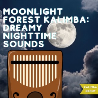 Moonlight Forest Kalimba: Dreamy Nighttime Sounds