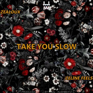 Take You Slow