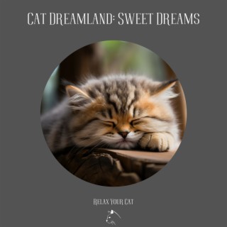 Cat Dreamland: Sweet Dreams