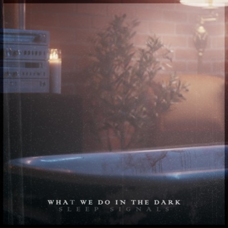 What We Do In the Dark | Boomplay Music