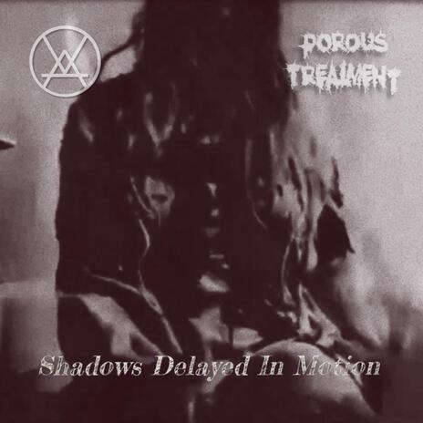 Shadows Delayed In Motion ft. Porous Treatment | Boomplay Music