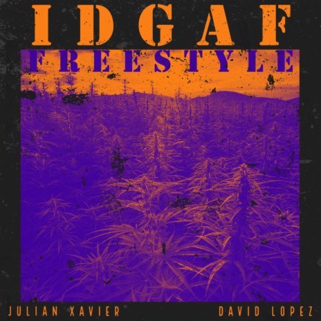 IDGAF Freestyle ft. David Lopez