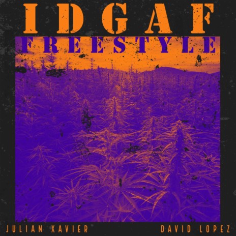 IDGAF Freestyle ft. David Lopez | Boomplay Music