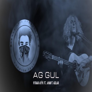 Ağ Gül