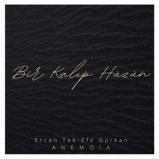 Bir Kalıp Hüzün ft. Efe Gürkan lyrics | Boomplay Music