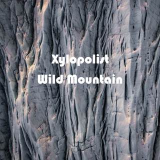 Wild Mountain