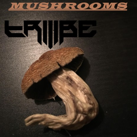 Mushrooms | Boomplay Music