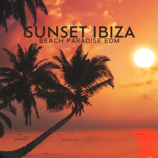 Sunset Ibiza Beach Paradise EDM