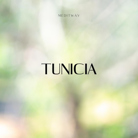 Tunicia (Spa) ft. Guided Meditation & Meditation Awareness