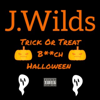 Trick or Treat Bitch Halloween