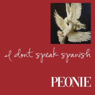 I don't speak spanish