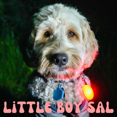 Little Boy Sal | Boomplay Music