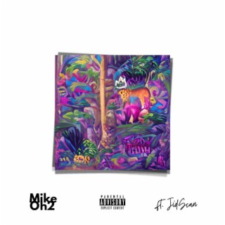 jungle ft. JidScan lyrics | Boomplay Music