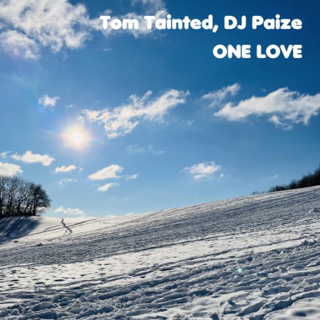 One Love ft. DJ Paize | Boomplay Music