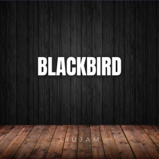 BlackBird (Acoustic Guitar Instrumental)