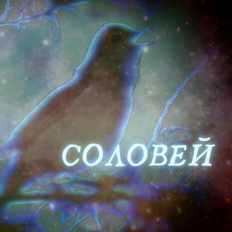 Соловей | Boomplay Music