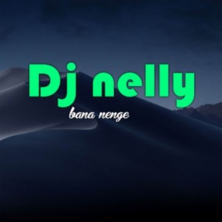 DJ Nelly