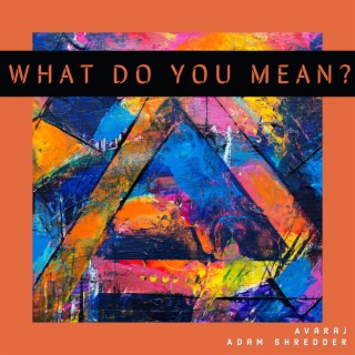 What Do You Mean? ft. Adam Shredder lyrics | Boomplay Music