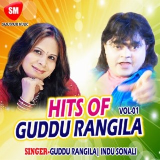 Hits Of Guddu Rangila Vol 1