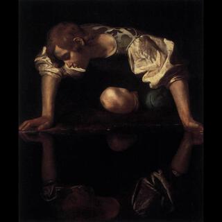 Narcissus