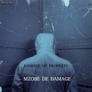 Damage of Property (Chapter One)