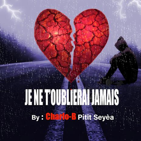 Je Ne T'oublierai Jamais | Boomplay Music