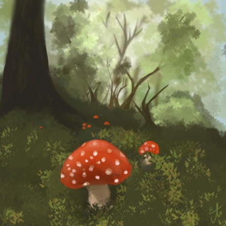 Mushroom Song