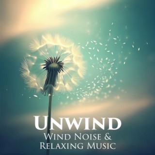 Unwind: Wind Noise Sounds & Relaxing Music for Sleep, Meditation for a Quick Nap