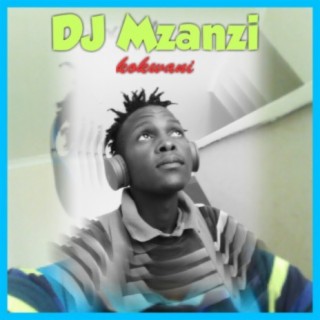 Dj mzanzi