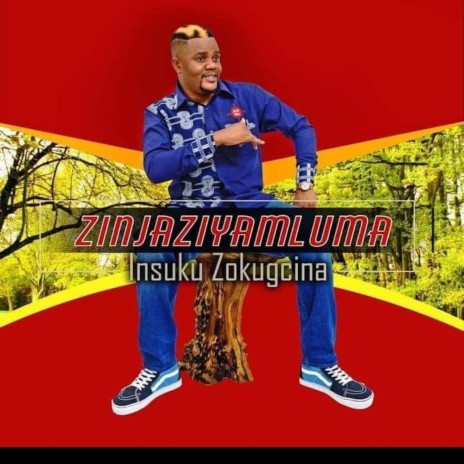 Insuku Zokugcina | Boomplay Music