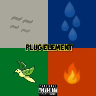 PLUG ELEMENT