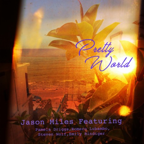 Pretty World ft. Pamela Driggs, Romero Lubambo, Steven Wolf & Emily Bindiger | Boomplay Music