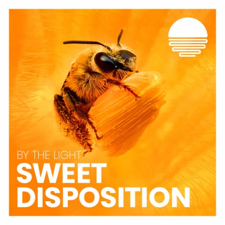 Sweet Disposition | Boomplay Music