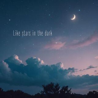 LIKE STARS IN THE DARK