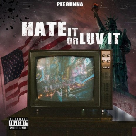 Hate It or Luv it | Boomplay Music