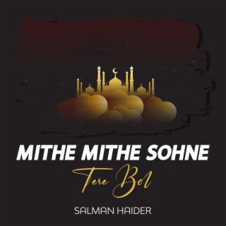 Mithe Mithe Sohne Tere Bol