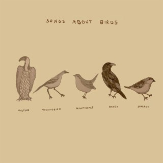 Songs About Birds