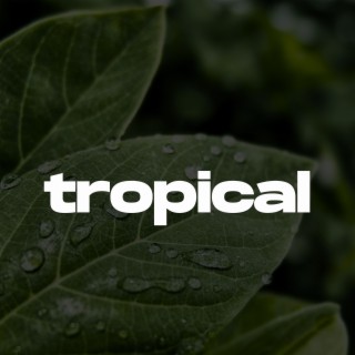 Tropical (Melodic Drill Type Beat)