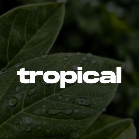 Tropical (Melodic Drill Type Beat) | Boomplay Music