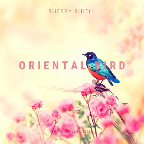 Oriental Bird (Piano Meditation) | Boomplay Music