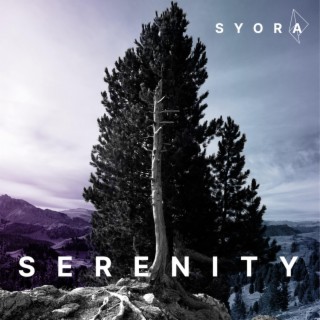 Serenity lyrics | Boomplay Music